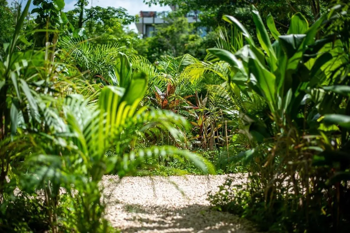 Loft Hermosa At Tulum'S Mistiq Temple II Beaches Tulum
